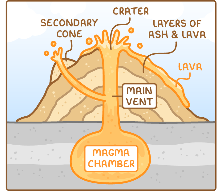 Cross-section of a composite volcano: a steep cone built of layers of ash and lava. Magma rises from the magma chamber up the main vent to the crater, where lava erupts and flows down the side, and a branch feeds a smaller secondary cone on the side of the volcano.