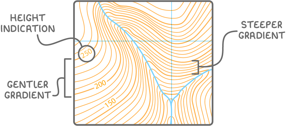 A made-up contour map with heights falling from 250 m to 150 m down the map. A circled 250 is labelled HEIGHT INDICATION, widely spaced contour lines are labelled GENTLER GRADIENT, and closely packed lines are labelled STEEPER GRADIENT.