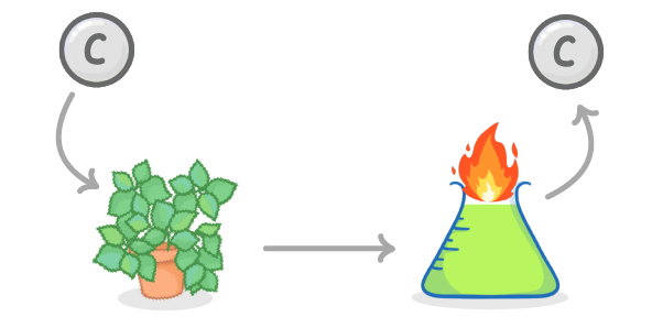 A grey circle labelled C with an arrow down to a leafy potted plant, an arrow from the plant to a burning flask of green liquid, and an arrow up to another C.