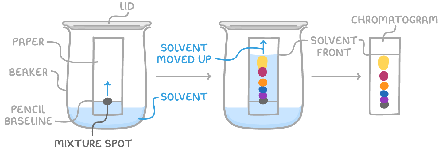 Three stages: a lidded beaker with paper standing in solvent, a mixture spot on the pencil baseline; the solvent risen, splitting the spot into six colours; the dried sheet labelled chromatogram, with one solvent front label pointing to the last two panels.