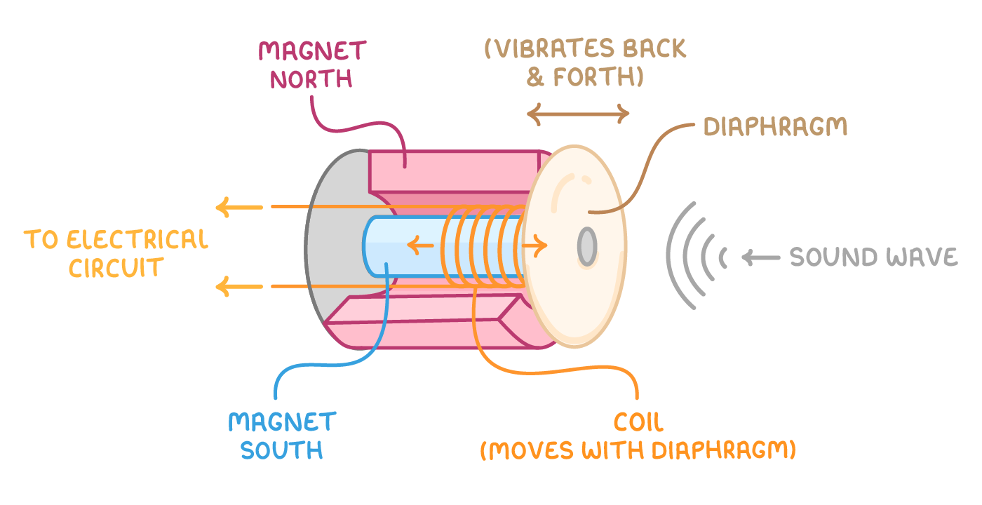 A cutaway microphone: a coil on a tube inside a ring magnet with a diaphragm at the front, labelled magnet north, magnet south, coil (moves with diaphragm), diaphragm, sound wave and to electrical circuit.