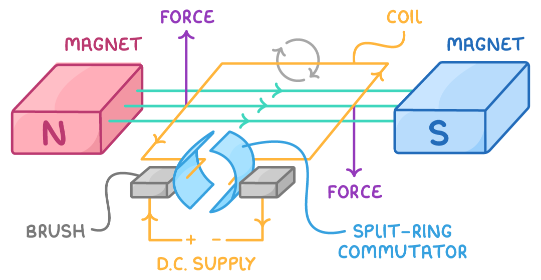 A coil sits between magnet blocks marked N and S, its ends on a split-ring commutator that rests on two brushes wired to a supply, labelled magnet, coil, force, brush, and d.c. supply.