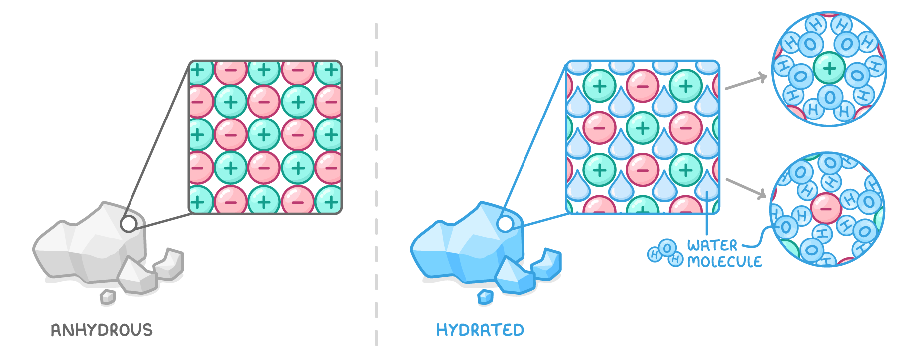 A white crystal labelled anhydrous and a blue crystal labelled hydrated, each zoomed into a lattice of positive and negative ions, with drops labelled water molecule filling the gaps in the hydrated one; two close-ups show the water molecules around each ion, oxygen towards the positive ion and hydrogen towards the negative ion.