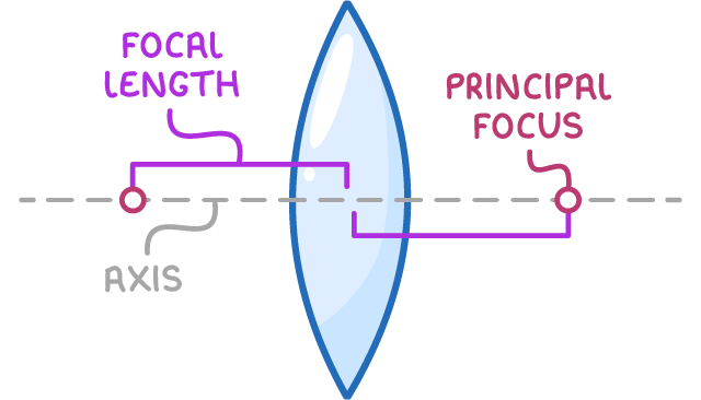 A convex lens on a dashed horizontal axis with a principal focus marked on each side, and brackets from the centre of the lens to each focus, labelled axis, focal length and principal focus.