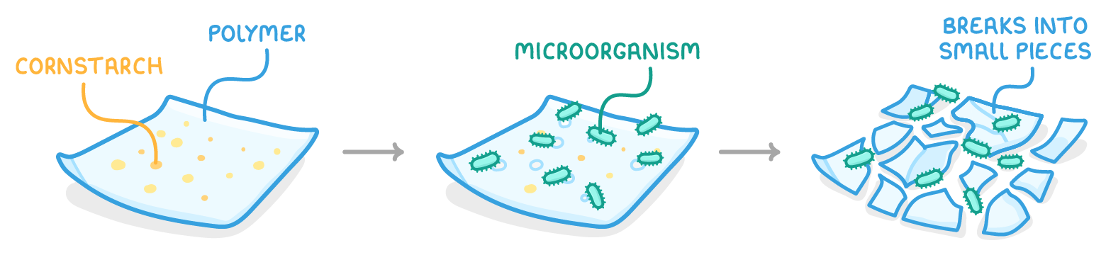 A plastic sheet of polymer dotted with cornstarch, then the same sheet covered in microorganisms, then the sheet broken into small pieces, with arrows between the three stages.