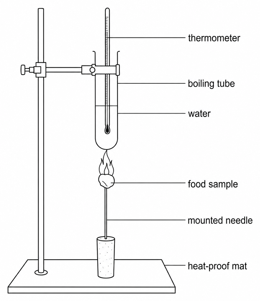 A boiling tube of water clamped to a stand with a thermometer in it, a burning food sample on a mounted needle held just below, and a heat-proof mat underneath.