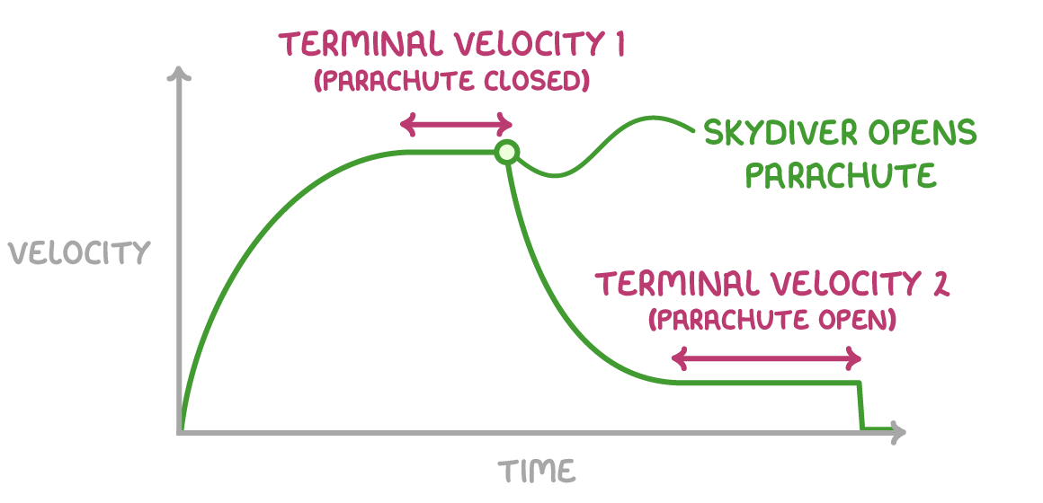 A velocity-time graph for a skydiver: the line rises and levels off at terminal velocity 1 with the parachute closed, drops sharply where the skydiver opens the parachute, then levels off again at a lower terminal velocity 2 with the parachute open.