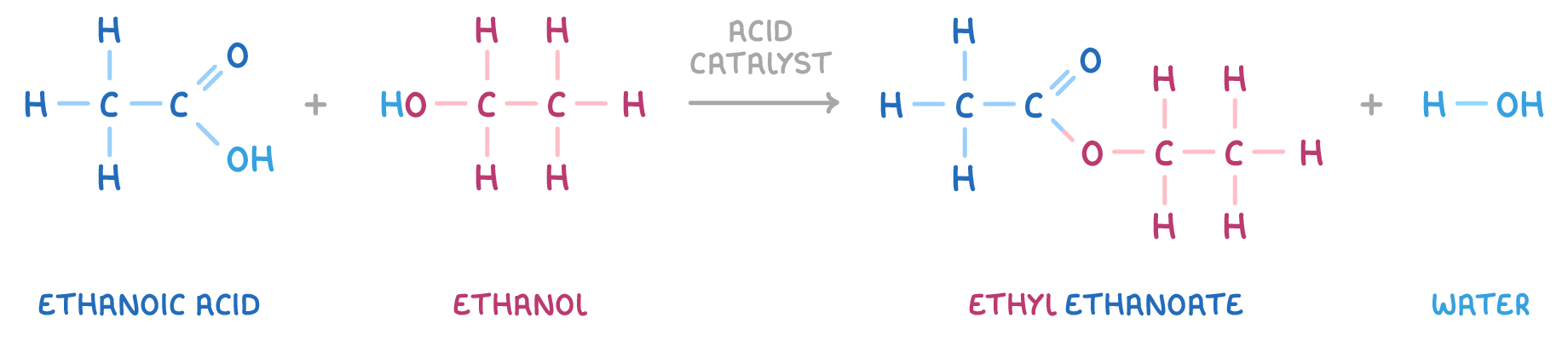 Ethanoic acid plus ethanol, an arrow labelled acid catalyst, then ethyl ethanoate plus water, every atom and bond drawn, all four named beneath and the two halves coloured blue and pink.