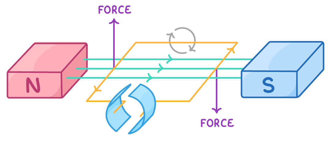 A coil lies between N and S magnet blocks with field lines through it, purple arrows labelled force pointing up on one side and down on the other, and a curved rotation arrow above.