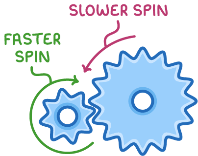A small toothed gear meshes with a larger one, a green arrow curving round the small gear labelled faster spin and a pink arrow curving to the large gear labelled slower spin.