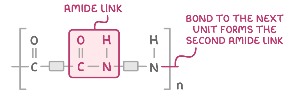 A repeat unit in tall brackets with subscript n: two carbons each carrying a double-bonded oxygen, two nitrogen atoms each carrying a hydrogen, and two grey blocks for the carbon chains; the middle -CO-NH- is boxed as the amide link, and the bond through the right-hand bracket is labelled as the bond to the next unit, which forms the second amide link.