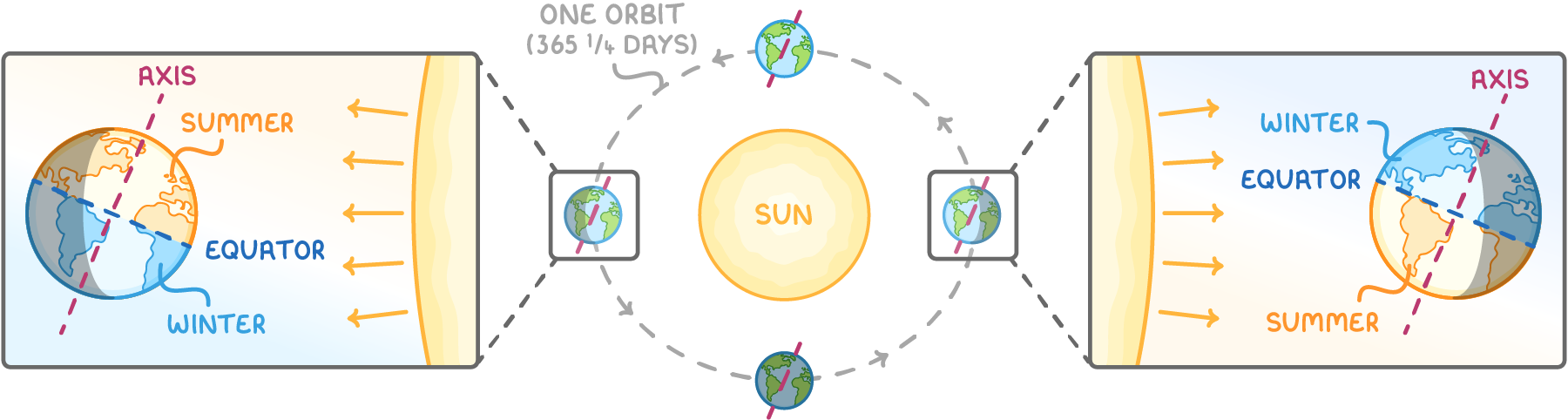 Earth at four points of a dashed orbit around a central circle labelled sun, the orbit marked one orbit (365 1/4 days), with two zoom panels labelled axis, equator, summer and winter.