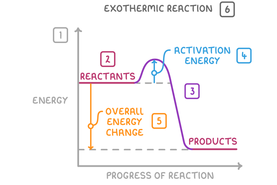 An exothermic reaction profile, products below reactants, with arrows labelled activation energy and overall energy change; numbered boxes 1 to 6 mark the axes, the levels, the curve, the two arrows, and the title.