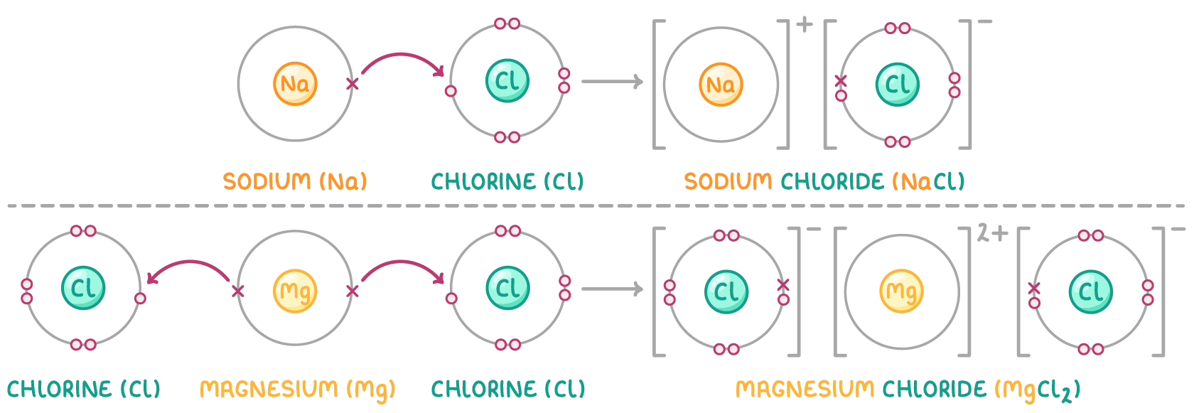 Two rows of dot-and-cross diagrams with arrows moving crosses from metal to chlorine atoms: sodium and chlorine form bracketed Na+ and Cl− ions, and magnesium and two chlorines form Mg2+ between two Cl− ions.
