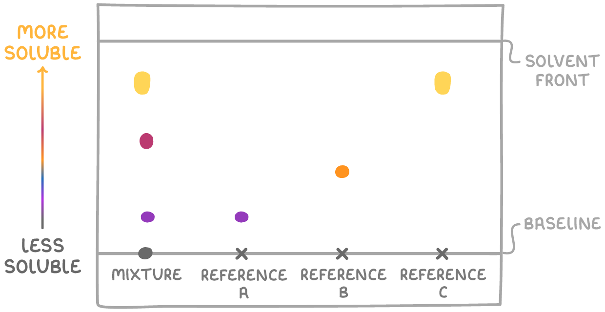 A chromatogram with baseline and solvent front marked, four lanes labelled mixture, reference A, reference B and reference C, each reference starting from a pencil cross; A and C sit level with two of the mixture's three spots, B matches none.