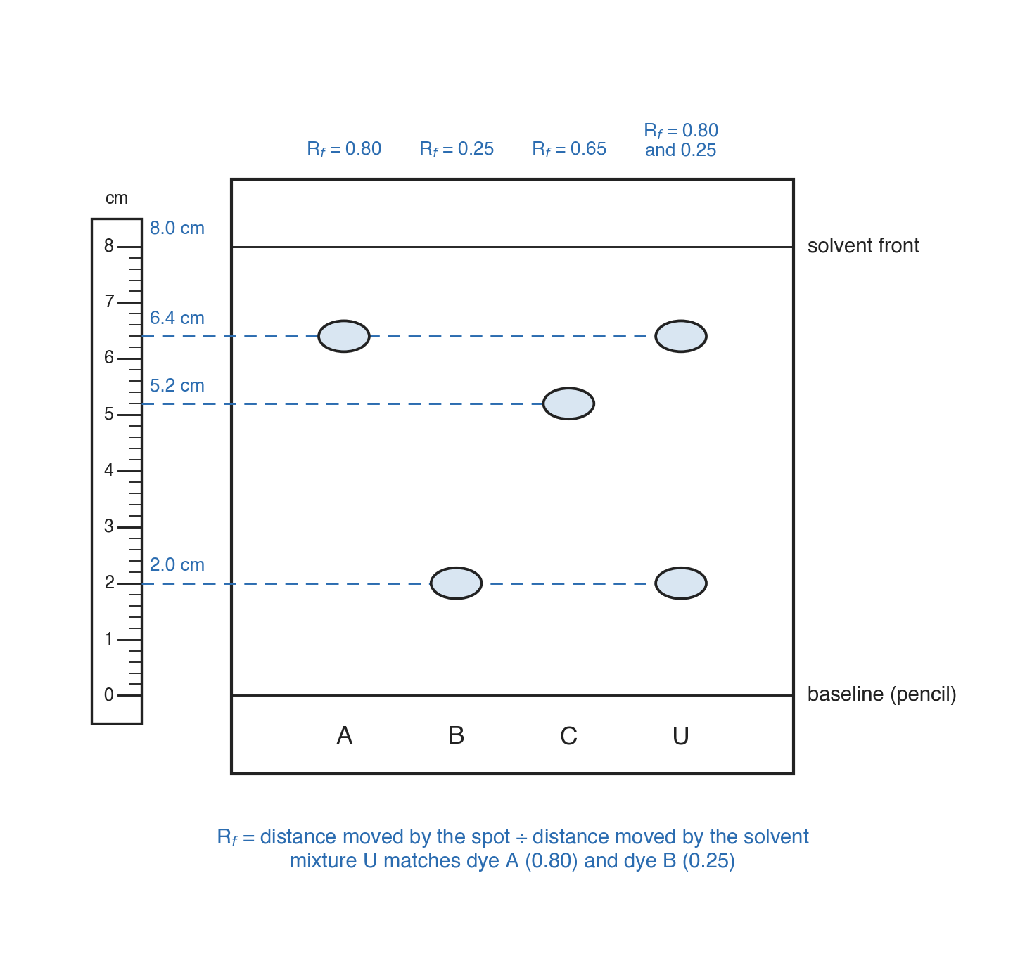 A chromatogram beside a centimetre ruler, with single spots in lanes A, B, and C and two spots in lane U, dashed lines to 6.4, 5.2, and 2.0 cm, and Rf values above.