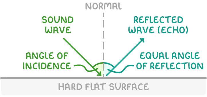 An arrow labelled sound wave hits a hard flat surface and leaves as a reflected wave (echo), with shaded angles of incidence and equal angle of reflection either side of a dashed normal.
