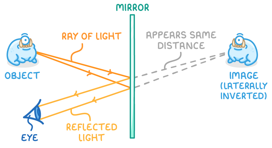 A creature labelled object faces a green mirror; two orange rays reflect off it into an eye, and dashed lines marked appears same distance carry on to a mirrored copy labelled image (laterally inverted).