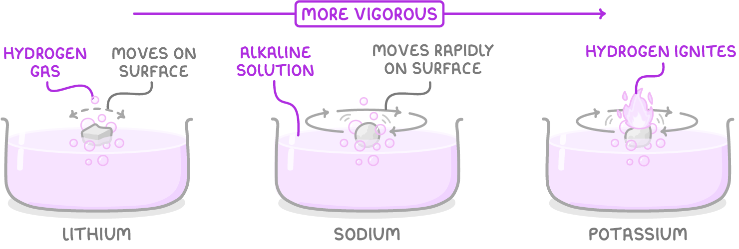 Three troughs of purple water under an arrow labelled more vigorous: lithium gives off hydrogen gas and moves on the surface, a sodium ball moves rapidly on alkaline solution, and potassium's hydrogen ignites.