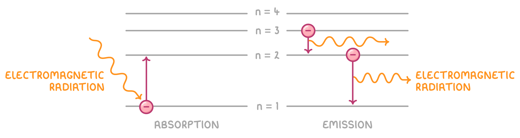 Four stacked lines labelled n = 1 to n = 4, with an electron rising a level under absorption and falling twice under emission, beside wavy arrows labelled electromagnetic radiation, the wave from the n = 2 to n = 1 drop visibly shorter than the one from n = 3 to n = 2.