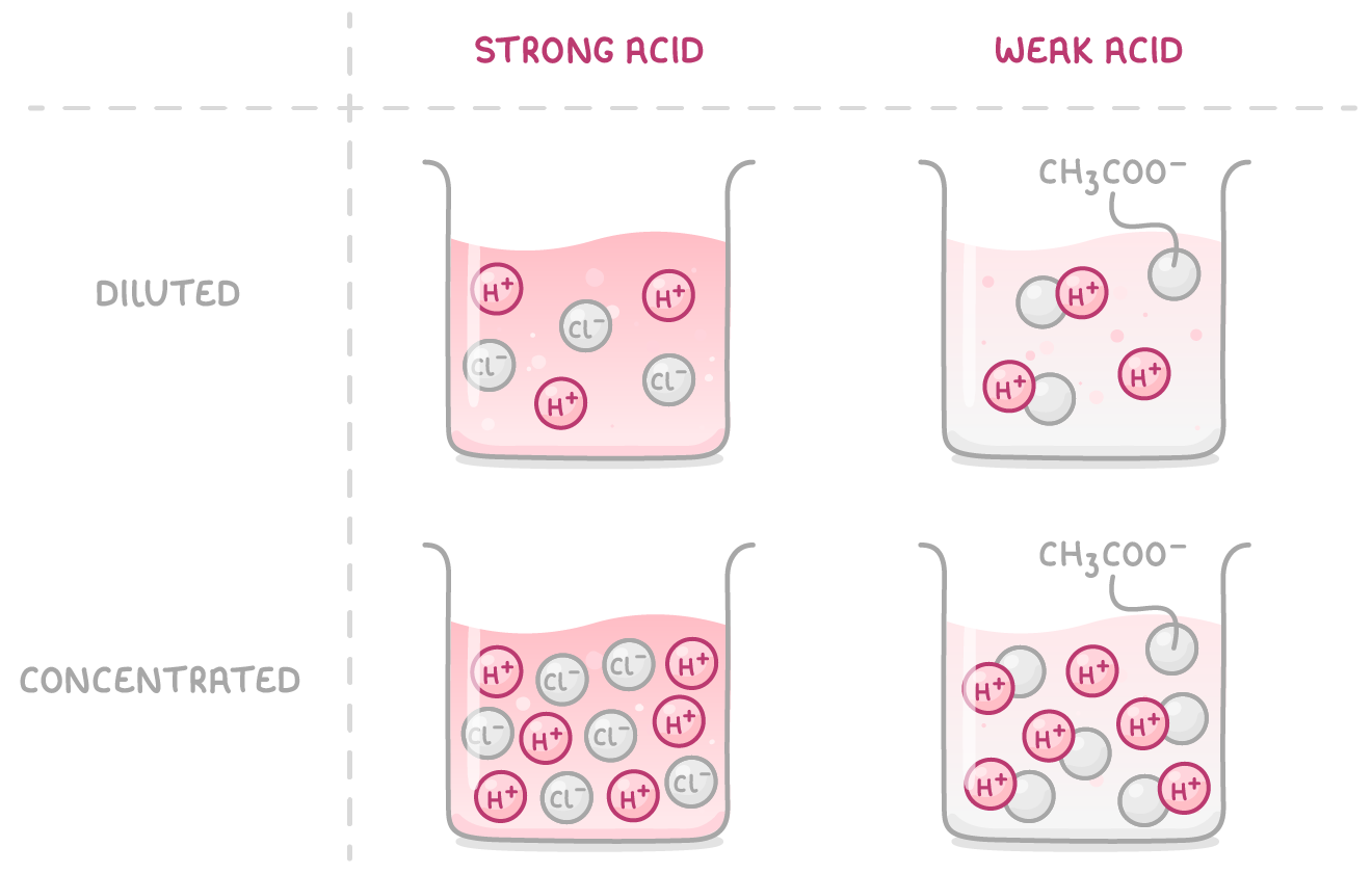 Four beakers with columns labelled strong acid and weak acid and rows labelled diluted and concentrated; concentrated beakers hold more particles, and only the strong acid beakers show every H+ ion separate.