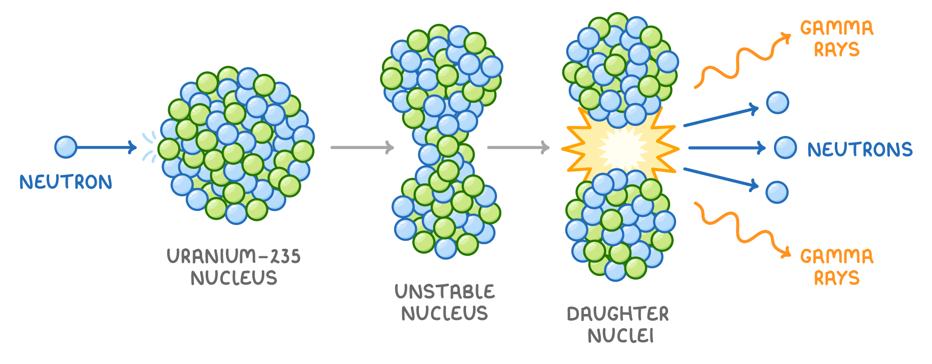 A neutron strikes a uranium-235 nucleus of blue and green balls, which stretches into an unstable nucleus, then splits into two daughter nuclei releasing three neutrons and two gamma rays.
