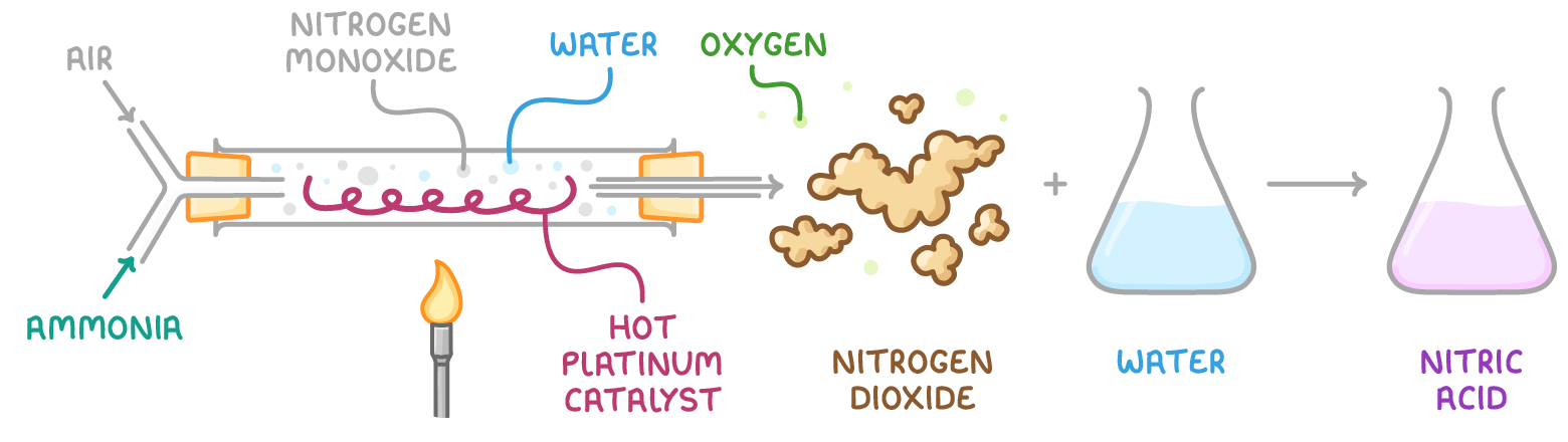 Ammonia and air pass over a hot platinum catalyst to form nitrogen monoxide and water; with oxygen this becomes nitrogen dioxide, which dissolves in water to make nitric acid.