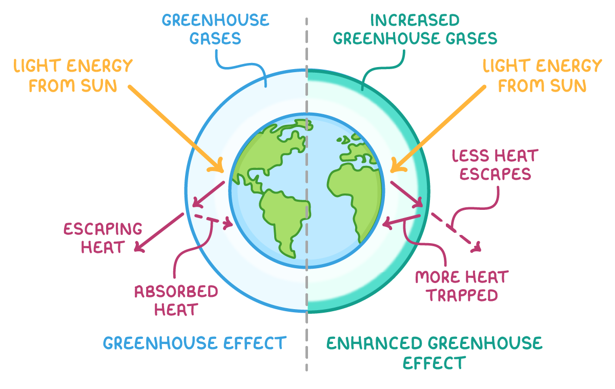 Earth split down the middle: left half labelled greenhouse effect, light energy from sun, absorbed heat and escaping heat; right half enhanced greenhouse effect, increased greenhouse gases, less heat escapes and more heat trapped.