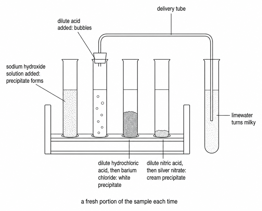 Four labelled tubes in a rack: sodium hydroxide giving a precipitate, dilute acid giving bubbles led by a delivery tube into limewater that turns milky, barium chloride giving white, and silver nitrate giving cream.