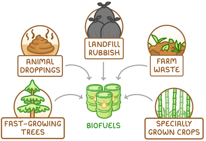 Arrows from five labelled circles - animal droppings, landfill rubbish, farm waste, fast-growing trees and specially grown crops - point inwards to green barrels with flames, labelled biofuels.