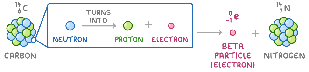 A carbon-14 nucleus with a zoomed-in box showing a neutron turning into a proton and an electron, then an arrow to a beta particle, written e with 0 above -1, and a nitrogen-14 nucleus.