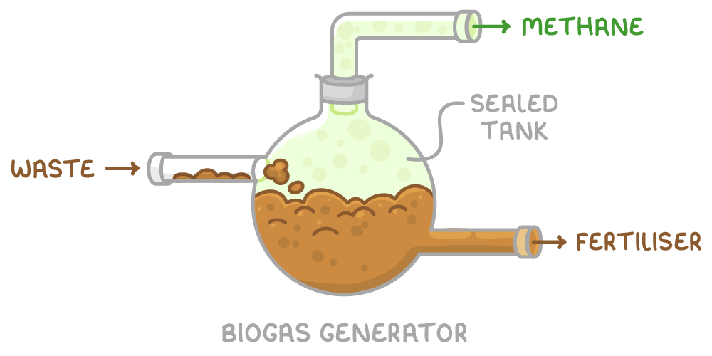 A round vessel labelled sealed tank, captioned biogas generator, half full of brown waste, with an inlet arrow labelled waste, a top pipe labelled methane and a side outlet labelled fertiliser.