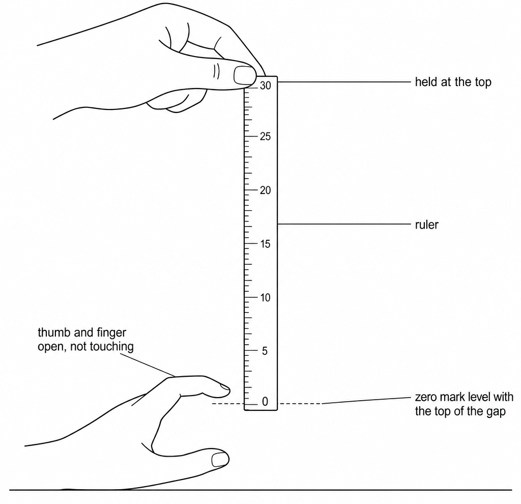 A ruler held upright at the top by one hand, with the other hand waiting below, thumb and finger open, not touching, and the zero mark level with the top of the gap.