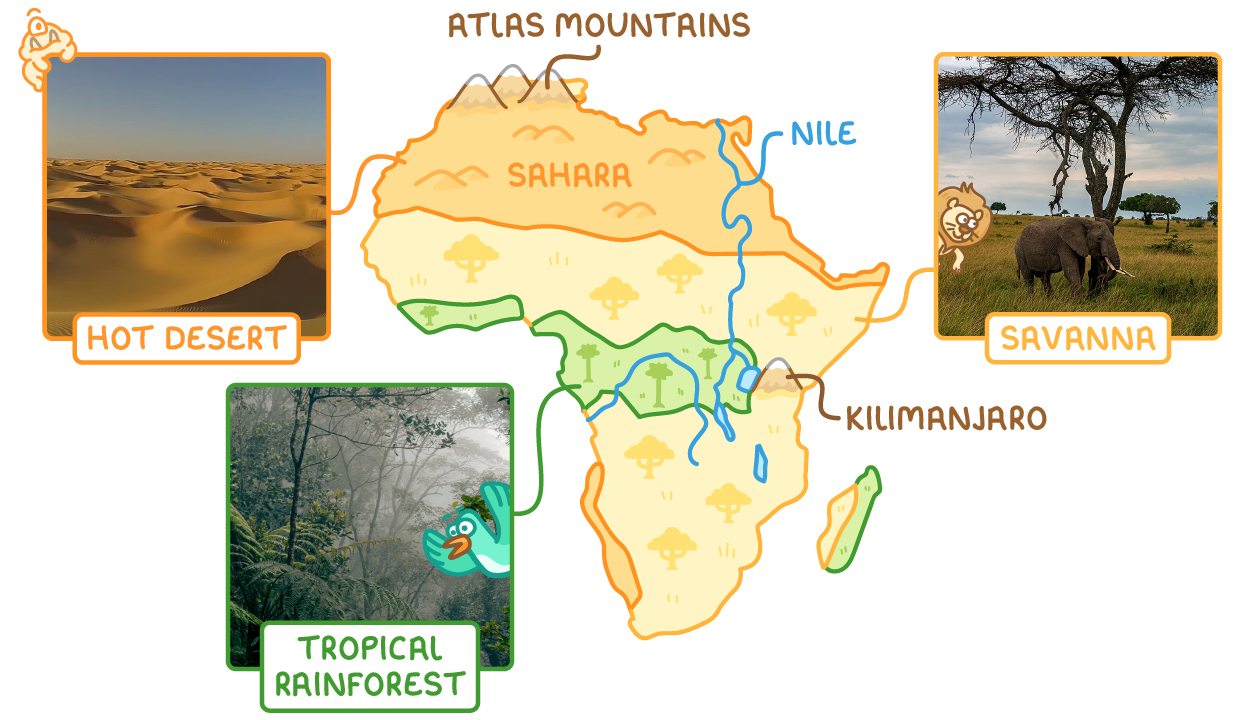 Map of Africa showing its biomes: hot desert (the Sahara) across the north, savanna across much of the centre and south, and tropical rainforest in a band across the middle and west. The Atlas Mountains are labelled in the north-west, Kilimanjaro in the east, and the River Nile flowing north to the Mediterranean. Photographs show a hot desert of sand dunes, a savanna with an elephant and acacia trees, and a misty tropical rainforest.