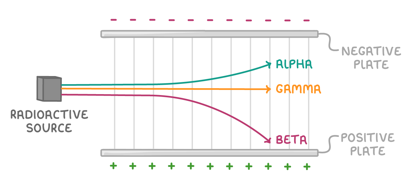 Three paths leave a radioactive source and cross between two plates, alpha bending up to the negative plate, beta bending further down to the positive plate, and gamma running straight.