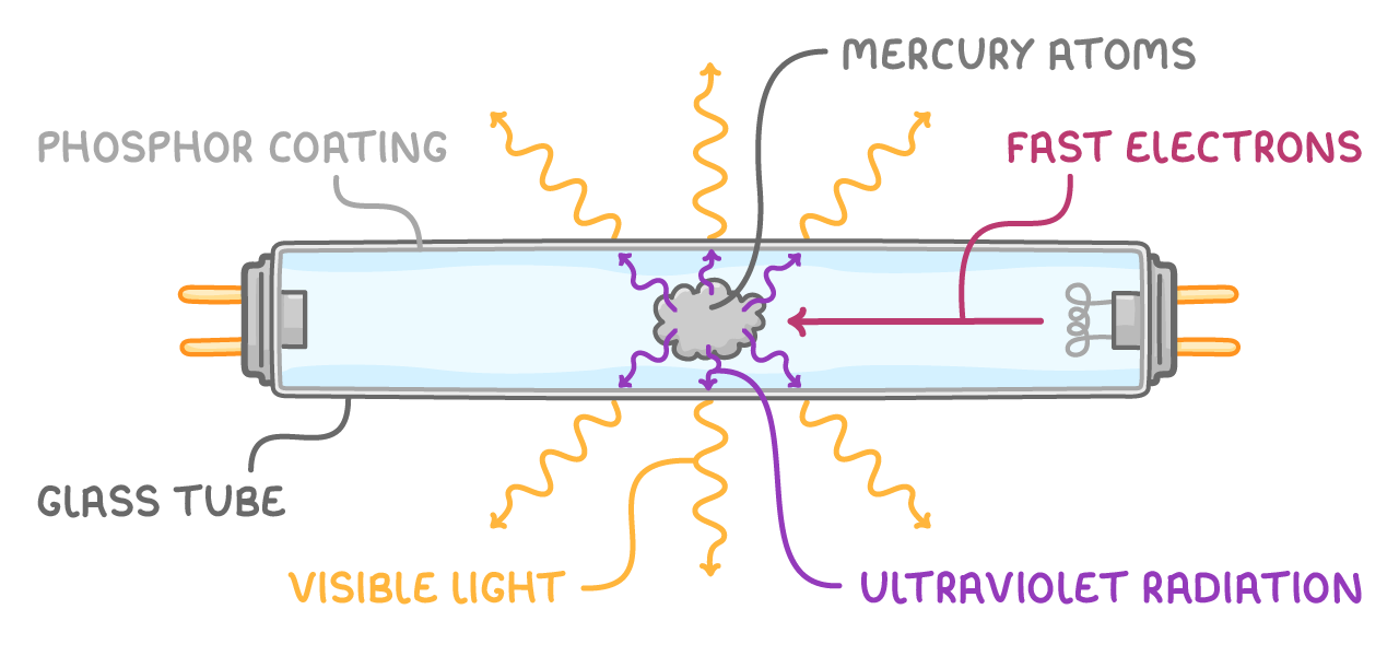 A long tube with a grey cloud at its centre giving off purple and orange wavy arrows, labelled phosphor coating, glass tube, mercury atoms, fast electrons, ultraviolet radiation, and visible light.