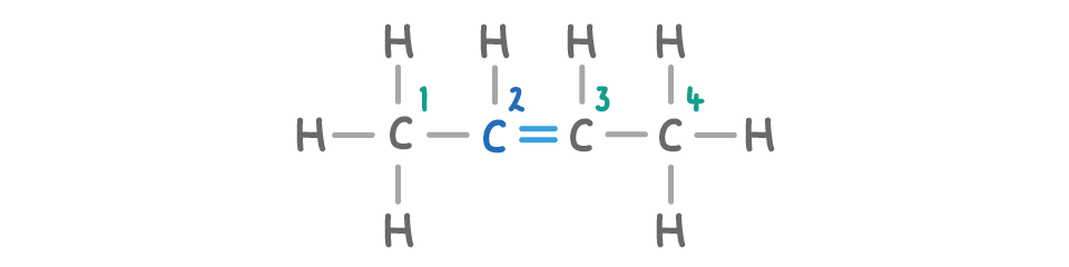 A four-carbon chain with carbons numbered 1 to 4, a double bond between carbons 2 and 3, and three hydrogen atoms on each end carbon and one on each middle carbon.