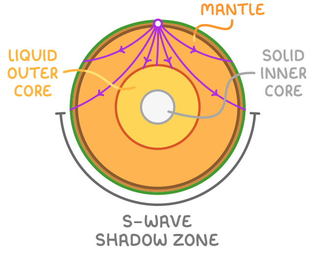 Cut-through Earth labelled "mantle", "liquid outer core" and "solid inner core", purple wave paths spreading from a surface point but stopping at the core, a bracket round the lower half labelled "S-wave shadow zone".