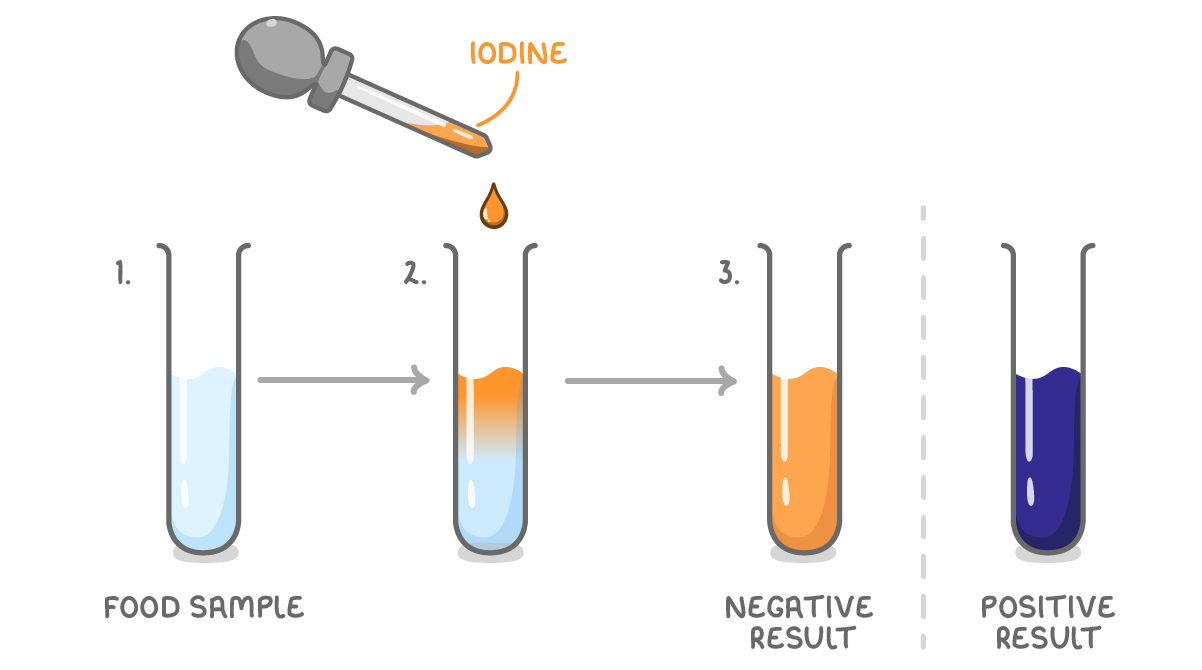 A dropper labelled iodine adds a drop to a pale food sample in numbered tubes, ending in an orange tube labelled negative result and a dark blue-black tube labelled positive result.