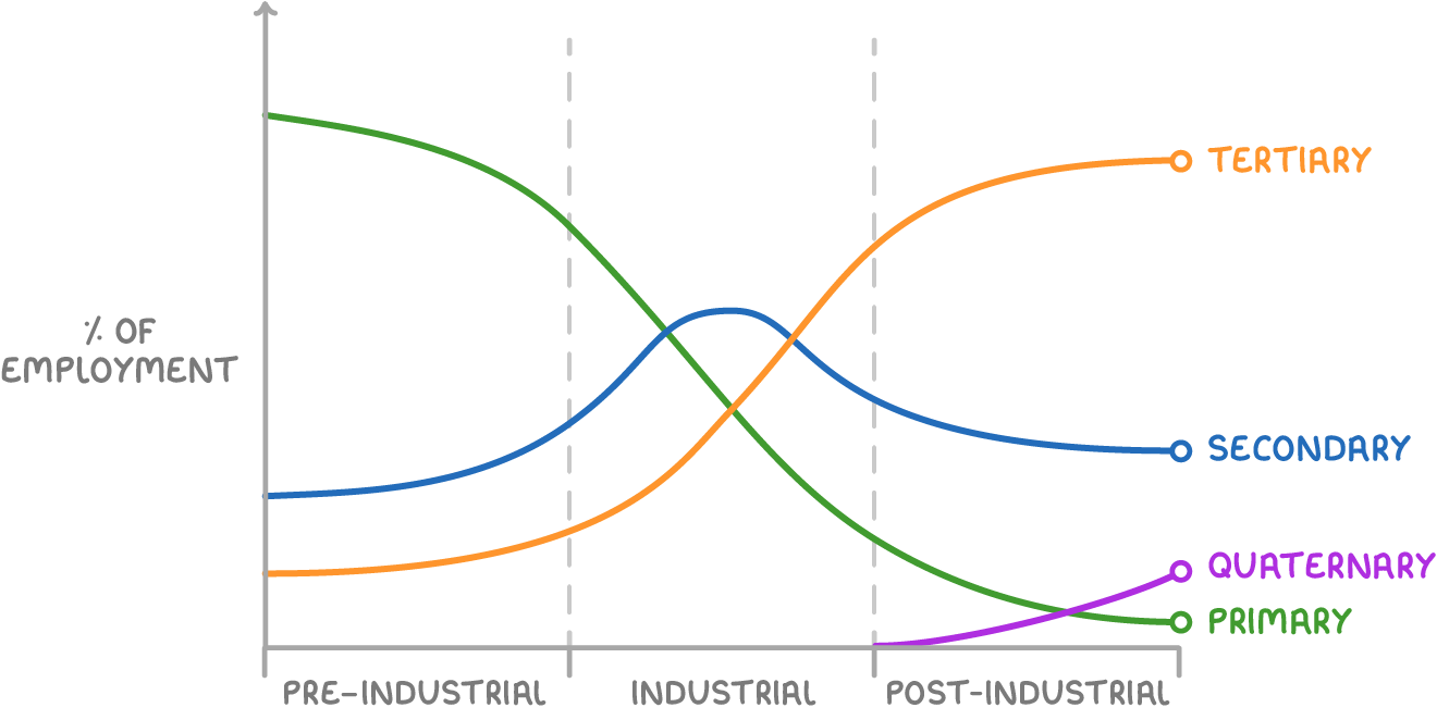 Line graph of the percentage of employment in four sectors across the pre-industrial, industrial and post-industrial phases. Primary employment falls from highest to lowest, secondary rises to a peak in the industrial phase then falls, tertiary rises to become the largest, and quaternary appears in the post-industrial phase and grows.
