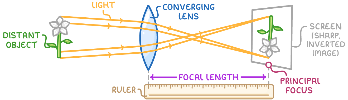 Orange rays from a "distant object" flower pass through a "converging lens" and cross to form an inverted flower on a "screen", with a ruler below marking the "focal length" to the "principal focus".