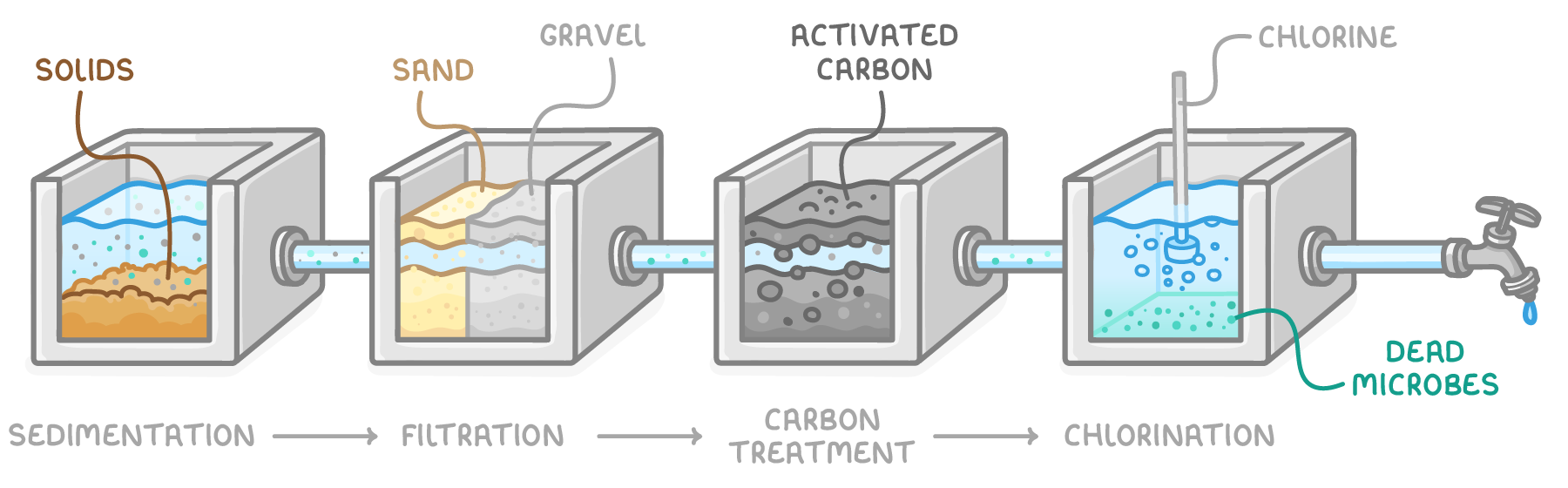 Four tanks piped to a tap, labelled sedimentation, filtration, carbon treatment and chlorination, showing settled solids, sand and gravel layers, a bed of activated carbon, and chlorine leaving dead microbes.