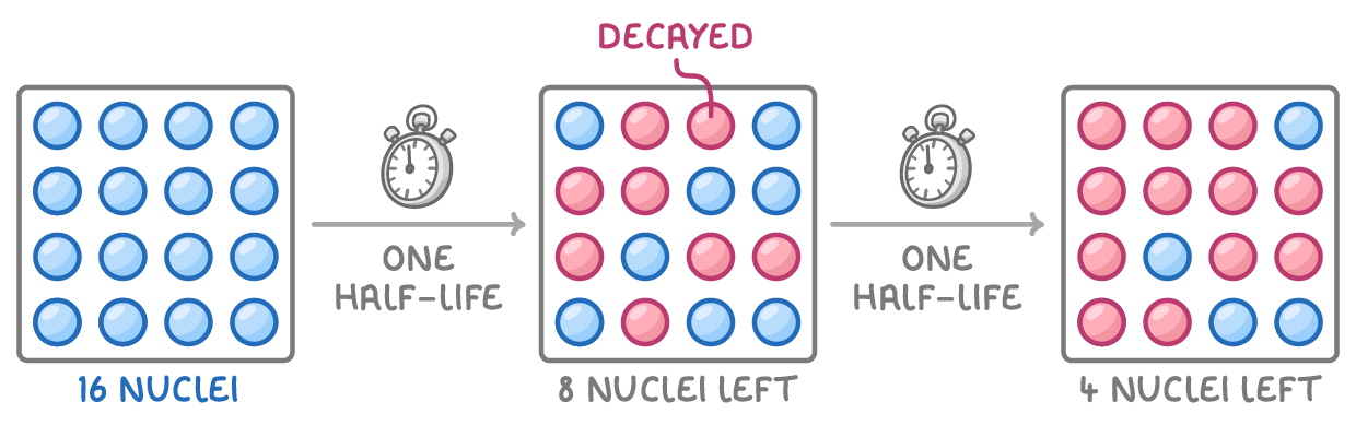 Three boxes of 16 circles joined by arrows labelled one half-life: all 16 blue, labelled 16 nuclei, then 8 blue and 8 pink decayed ones, labelled 8 nuclei left, then 4 blue left.