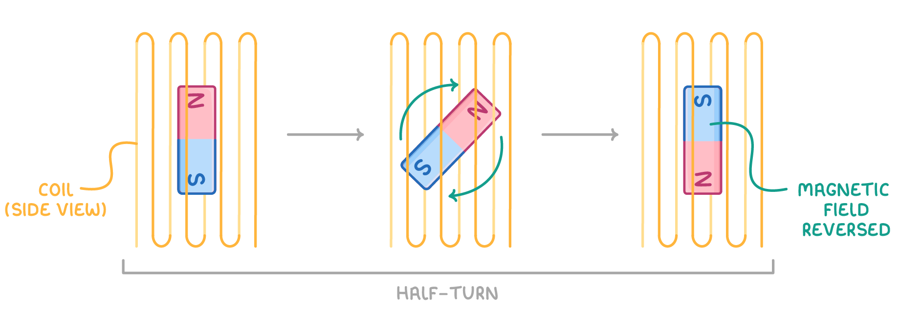 Three stages of a bar magnet turning inside a coil seen from the side, going from N above S to S above N, labelled coil (side view), magnetic field reversed, and half-turn.