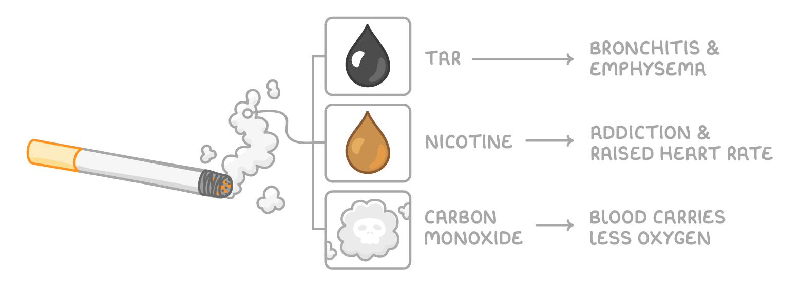 A lit cigarette with smoke leading to three boxes labelled tar, nicotine and carbon monoxide, with arrows to bronchitis and emphysema, addiction and raised heart rate, and blood carries less oxygen.