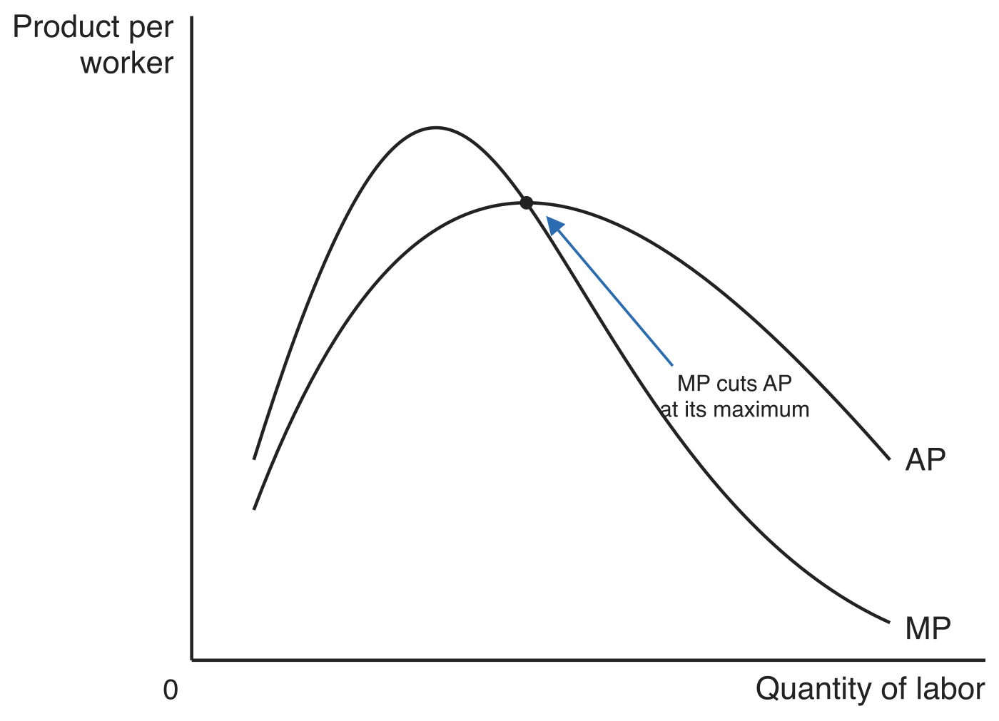 Average product and marginal product curves plotted against quantity of labor, both rising to a peak and then falling. The MP curve cuts the AP curve at AP's maximum, which is marked with a dot.