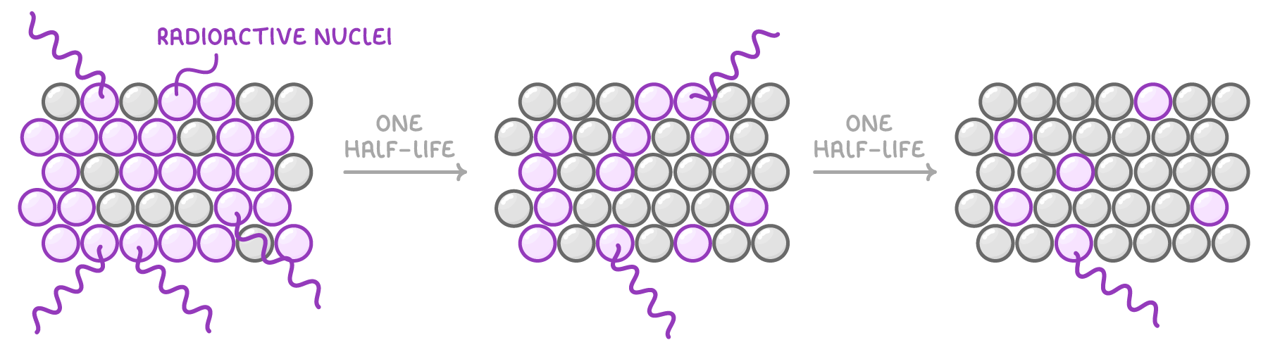 Three grids of circles joined by arrows marked one half-life, the purple ones labelled radioactive nuclei and trailing purple squiggles, with fewer purple and more grey circles in each successive grid.