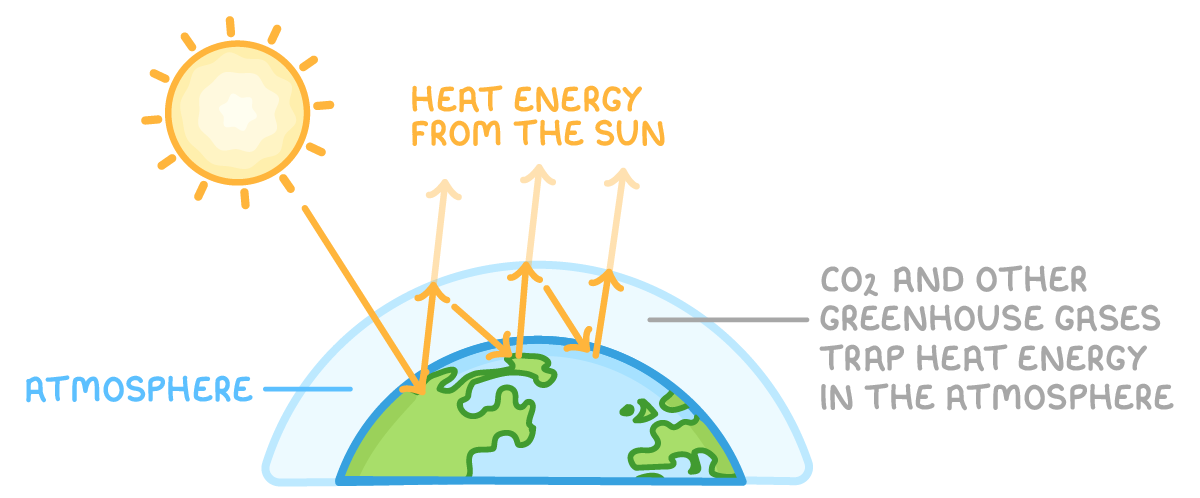 The Sun sends arrows labelled heat energy from the Sun to the Earth; some escape to space and some are sent back down, labelled CO2 and other greenhouse gases trap heat energy in the atmosphere.