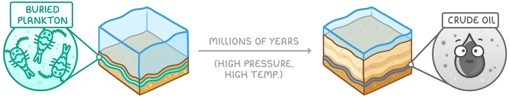 Two cutaway blocks of seabed with an arrow between them marked 'millions of years' and '(high pressure, high temp.)'; a magnified circle on the left shows 'buried plankton', one on the right 'crude oil'.