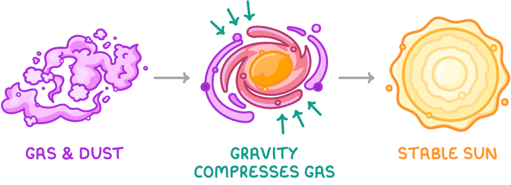 A purple cloud labelled gas & dust, an arrow to a swirling cloud with green arrows pointing inwards labelled gravity compresses gas, then an arrow to a round yellow star labelled stable sun.